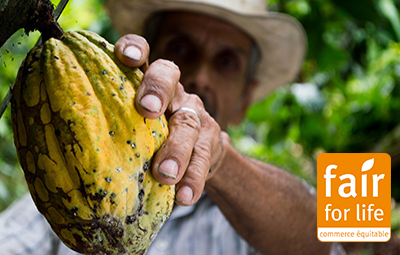 Jardin BiO étic est investit dans le Commerce Équitable.