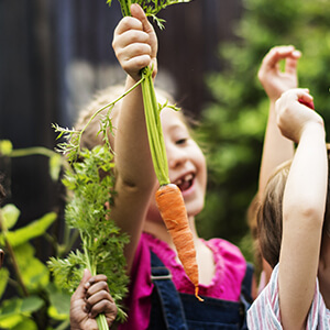 Innocuite et sante Jardin BiO etic